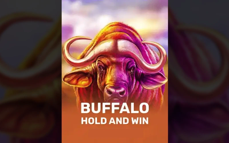 Play Buffalo Hold and Win by Platipus at Golden Crown and trigger respin features.