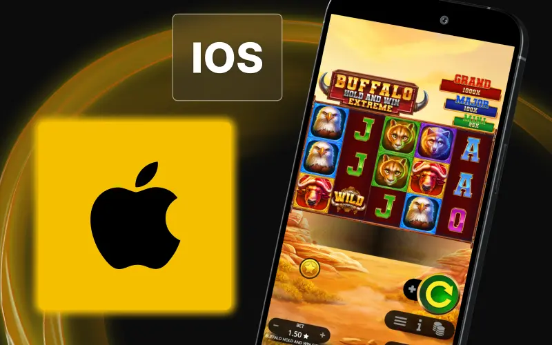 Play Buffalo Hold and Win on iOS devices via web app shortcut at Golden Crown Casino.